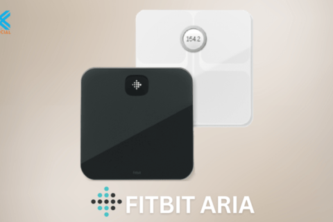 Fitbit Aria: This is The smart and special Machine of 2024